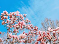 -永定河休闲森林公园