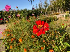 -永定河休闲森林公园