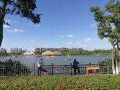 -上海长兴岛郊野公园