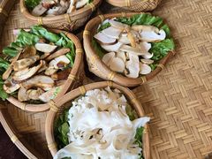 -滇野云南野生菌餐厅(陕西南路店)