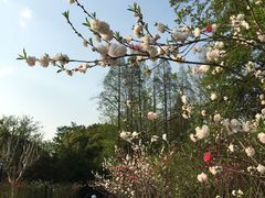 -上海市龙华烈士陵园