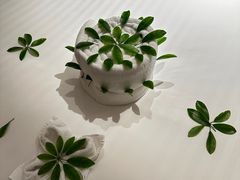 -深圳湾万怡酒店