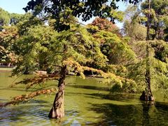 iphone_upload_pic-丽池公园