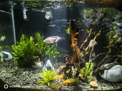 -太平洋海底世界