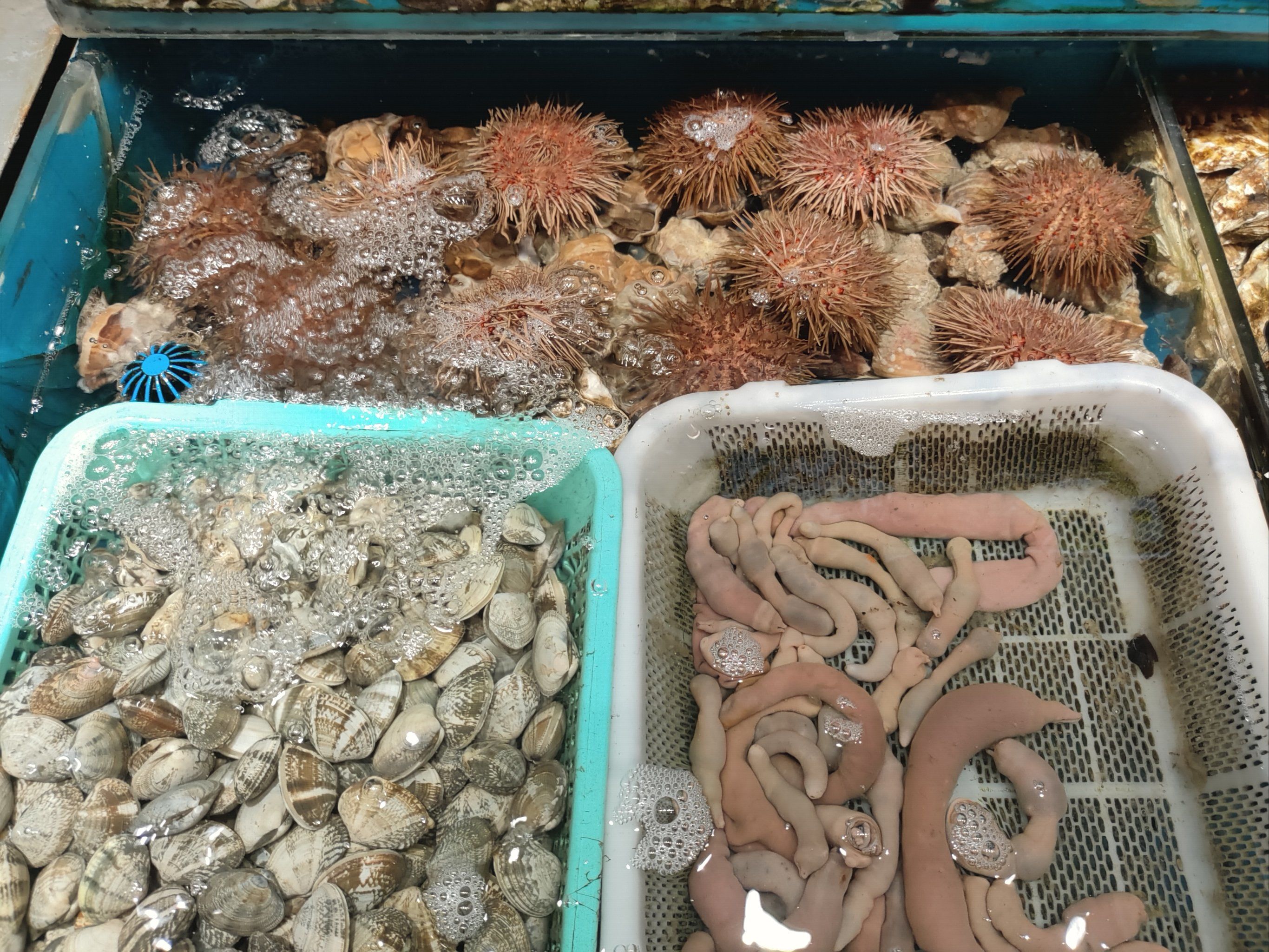 来大连必吃日月明海鲜