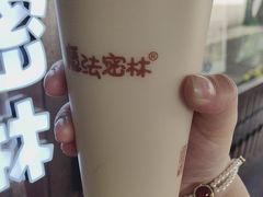 -猫的魔法密林(衣裳街店)