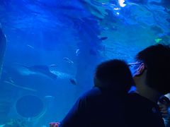-无锡海洋馆