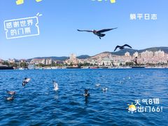 -拓恩帆船俱乐部