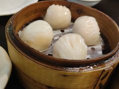 添运来虾饺皇-添运来(茶园奥园广场店)