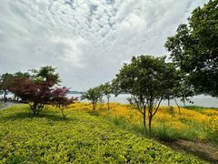 -东钱湖旅游度假区