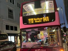 -Big Bus Tours 敞篷观光巴士