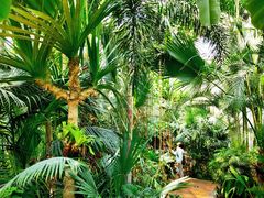 -北京植物园-展览温室