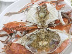 -东河市场