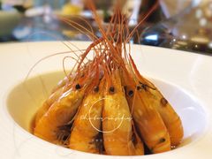 -喜来登由由大酒店九州膳坊中餐厅