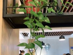 -三猫黑鱼花(南大店)