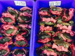 -QQ海鲜餐厅