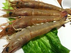 金海阁海鲜火锅-金海阁海鲜火锅