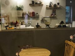 -楼上猫咖(罗湖店)