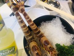 -鲜入围煮花胶鸡海鲜火锅