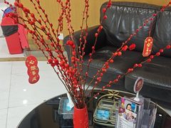 -雅悦齿科(顾村公园店)