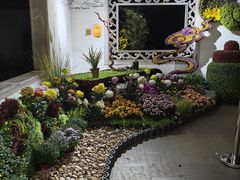 -杭州植物园