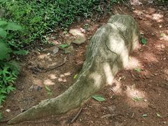 -南京金牛湖风景区