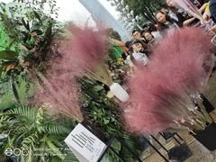 -重庆市江北嘴中央商务区中央公园