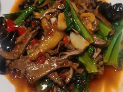 -陈麻婆豆腐总店