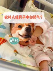 -明宇集团·积木枝芽母婴健康管理中心(天府店)