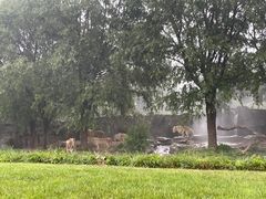 -北京野生动物园