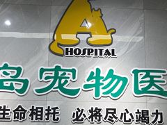 -半岛宠物医院24小时(白果林店)