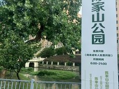 -陈家山荷花公园