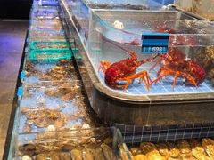 -青蓬蒸汽海鲜·深圳老字号·团建聚会(壹方城店)