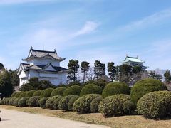 -名古屋城