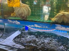 -坛南湾阿强农家乐.海鲜大排档老字号(福州地标美食店)