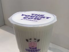 -一只酸奶牛(春熙路店)