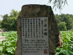 -大清花饺子(山庄店)