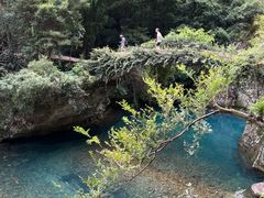 -雁荡山风景名胜区