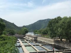 -天源渔港农庄