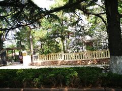 -八大关景区
