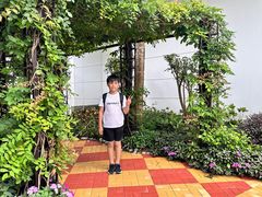 -宝莲禅寺