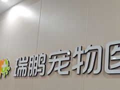 -瑞鹏宠物医院·骨外科·心肾科·肿瘤科(九亭店)