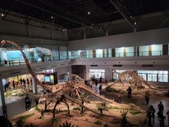 -自贡恐龙博物馆