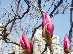 -白塘生态植物园