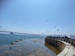 -星海广场