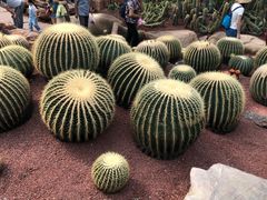 -南通洲际绿博园