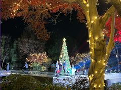 -杭州西子湖四季酒店-WL BISTRO西湖餐厅(灵隐路店)