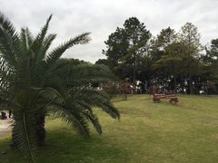 -美兰湖景区