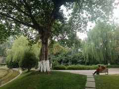 -桂湖森林公园