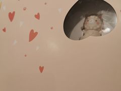 -星巴克臻选(华堂·新辰汇店)